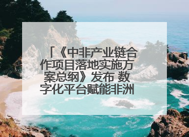 《中非产业链合作项目落地实施方案总纲》发布 数字化平台赋能非洲发展驶入快车道