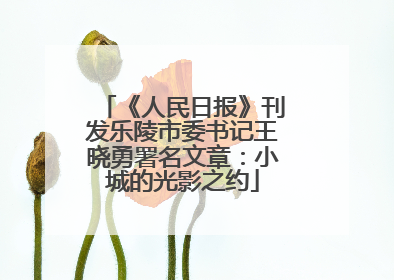 《人民日报》刊发乐陵市委书记王晓勇署名文章：小城的光影之约