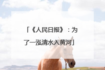 《人民日报》：为了一泓清水入黄河