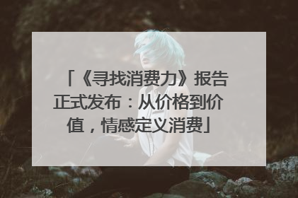 《寻找消费力》报告正式发布：从价格到价值，情感定义消费
