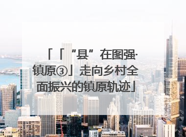 「“县”在图强·镇原③」走向乡村全面振兴的镇原轨迹
