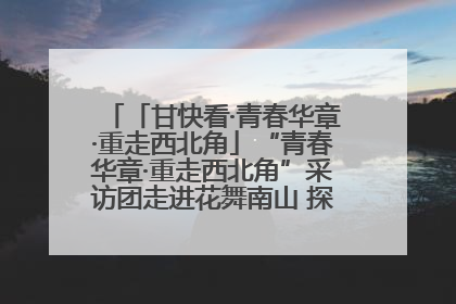 「甘快看·青春华章·重走西北角」“青春华章·重走西北角”采访团走进花舞南山 探寻天水乡村振兴之路