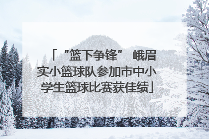 “篮下争锋” 峨眉实小篮球队参加市中小学生篮球比赛获佳绩