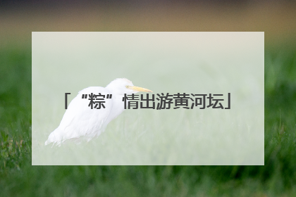 “粽”情出游黄河坛
