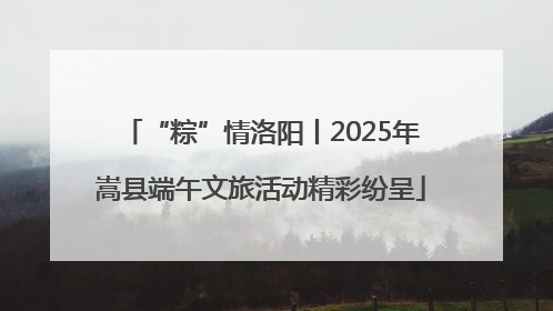 “粽”情洛阳丨2025年嵩县端午文旅活动精彩纷呈