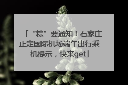 “粽”要通知！石家庄正定国际机场端午出行乘机提示，快来get