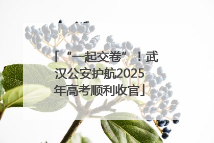 “一起交卷”！武汉公安护航2025年高考顺利收官