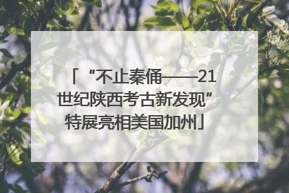 “不止秦俑——21世纪陕西考古新发现”特展亮相美国加州