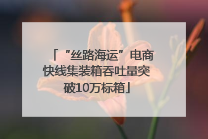 “丝路海运”电商快线集装箱吞吐量突破10万标箱