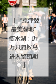 “京津冀最美湿地”衡水湖：近万只夏候鸟进入繁殖期