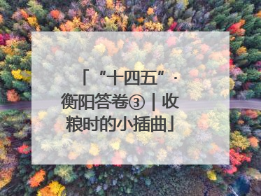 “十四五”·衡阳答卷③｜收粮时的小插曲