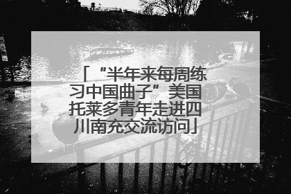 “半年来每周练习中国曲子”美国托莱多青年走进四川南充交流访问