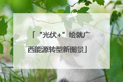“光伏+”绘就广西能源转型新图景