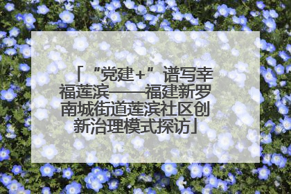 “党建+”谱写幸福莲滨——福建新罗南城街道莲滨社区创新治理模式探访
