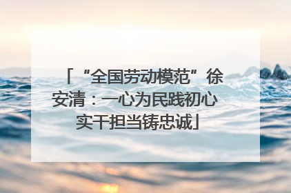 “全国劳动模范”徐安清：一心为民践初心 实干担当铸忠诚
