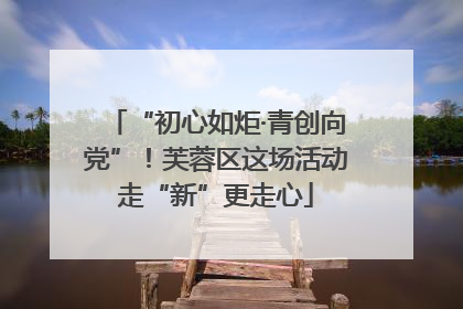 “初心如炬·青创向党”！芙蓉区这场活动走“新”更走心