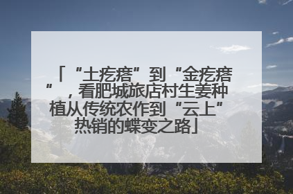 “土疙瘩”到“金疙瘩”，看肥城旅店村生姜种植从传统农作到“云上”热销的蝶变之路