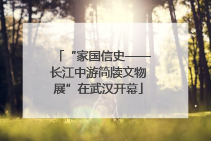 “家国信史——长江中游简牍文物展”在武汉开幕