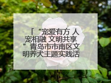 “宠爱有方 人宠相融 文明共享”青岛市市南区文明养犬主题实践活动举办