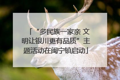 “多民族一家亲 文明让银川更有品质”主题活动在闽宁镇启动