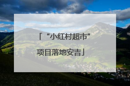 “小红村超市”项目落地安吉