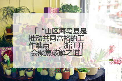 “山区海岛县是推动共同富裕的工作难点”，浙江开会聚焦破解之道