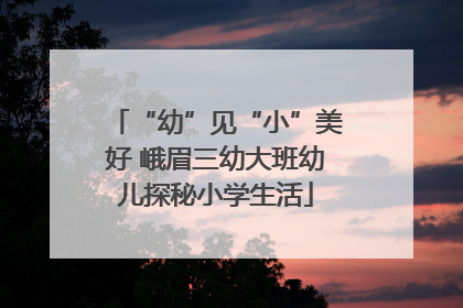 “幼”见“小”美好 峨眉三幼大班幼儿探秘小学生活