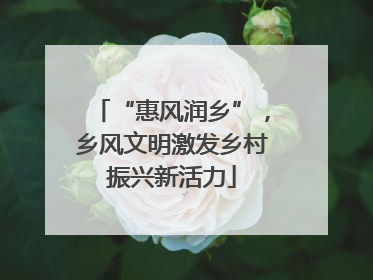 “惠风润乡”，乡风文明激发乡村振兴新活力