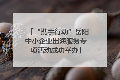 “携手行动”岳阳中小企业出海服务专项活动成功举办