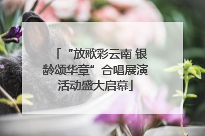 “放歌彩云南 银龄颂华章”合唱展演活动盛大启幕
