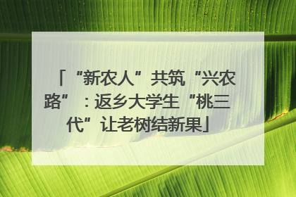 “新农人”共筑“兴农路”：返乡大学生“桃三代”让老树结新果