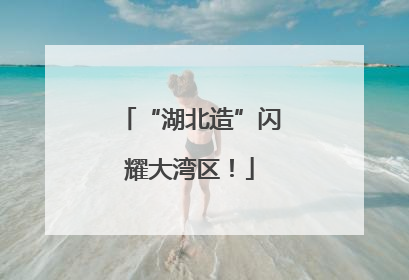 “湖北造”闪耀大湾区！