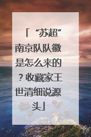 “苏超”南京队队徽是怎么来的？收藏家王世清细说源头
