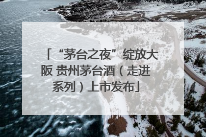 “茅台之夜”绽放大阪 贵州茅台酒（走进系列）上市发布