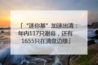 “迷你基”加速出清：年内117只谢幕，还有1655只在清盘边缘