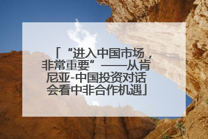 “进入中国市场，非常重要”——从肯尼亚-中国投资对话会看中非合作机遇
