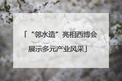 “邻水造”亮相西博会 展示多元产业风采