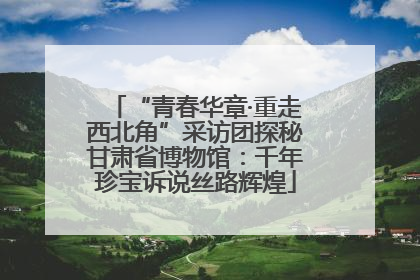 “青春华章·重走西北角”采访团探秘甘肃省博物馆：千年珍宝诉说丝路辉煌