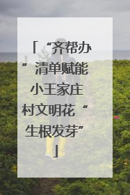 “齐帮办”清单赋能 小王家庄村文明花“生根发芽”