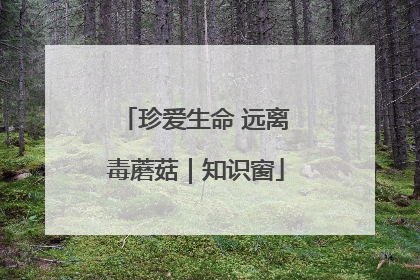 珍爱生命 远离毒蘑菇｜知识窗
