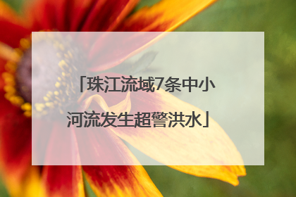 珠江流域7条中小河流发生超警洪水