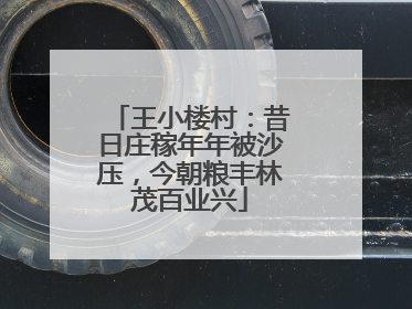 王小楼村：昔日庄稼年年被沙压，今朝粮丰林茂百业兴