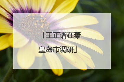 王正谱在秦皇岛市调研