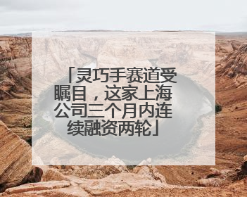 灵巧手赛道受瞩目，这家上海公司三个月内连续融资两轮