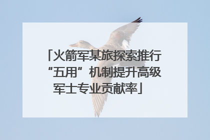 火箭军某旅探索推行“五用”机制提升高级军士专业贡献率