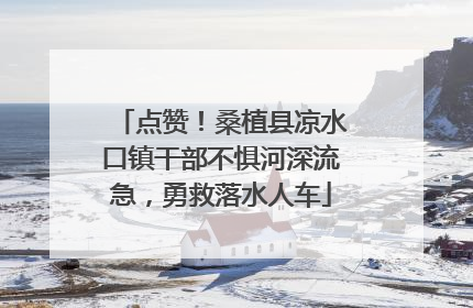 点赞！桑植县凉水口镇干部不惧河深流急，勇救落水人车