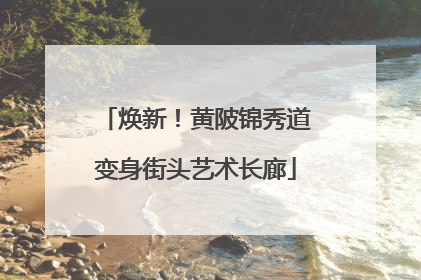 焕新！黄陂锦秀道变身街头艺术长廊