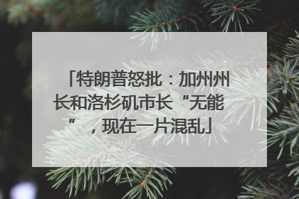 特朗普怒批：加州州长和洛杉矶市长“无能”，现在一片混乱