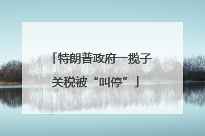 特朗普政府一揽子关税被“叫停”