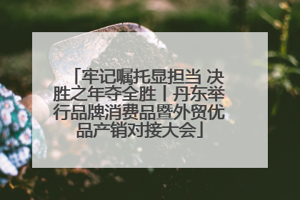 牢记嘱托显担当 决胜之年夺全胜丨丹东举行品牌消费品暨外贸优品产销对接大会